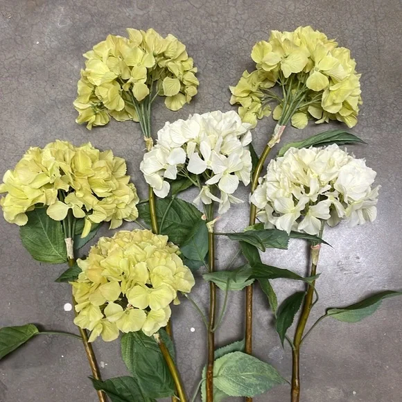 Hydrangeas, 4 in green yellow and 2 in a light yellow - Picture 4 of 6